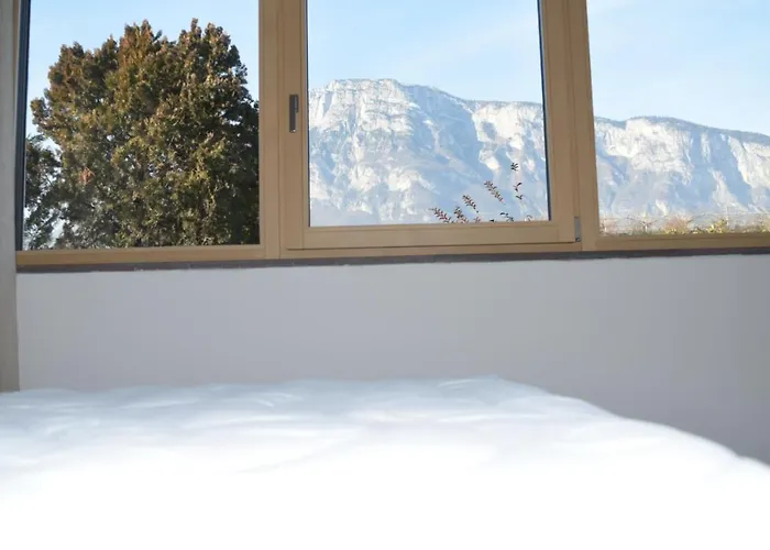 Home D\'Elite Il Vitigno